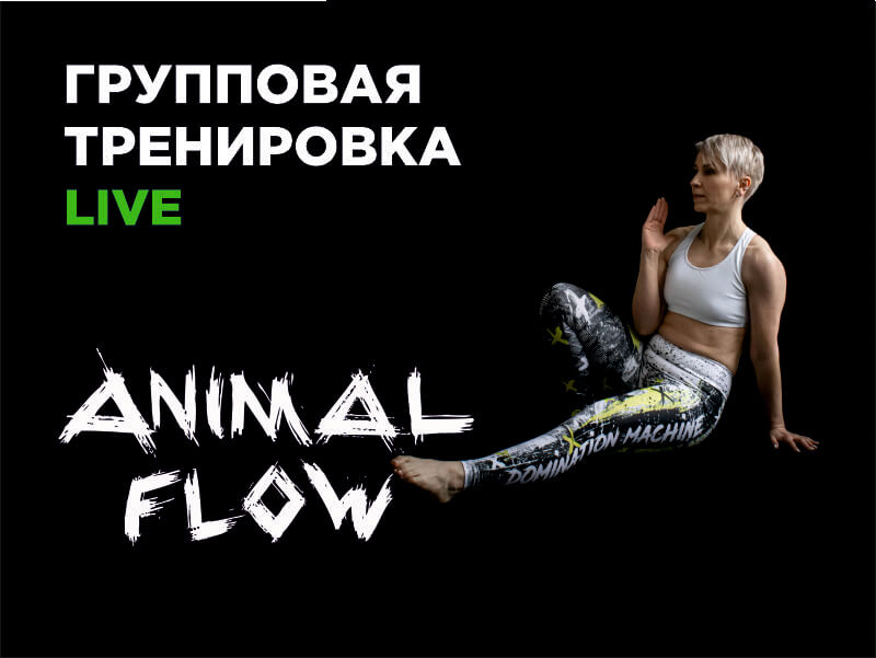 Animal Flow. Группа