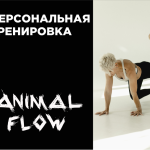 Animal Flow. Персональная