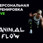 Animal Flow. Персональная