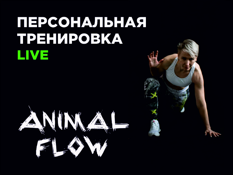 Animal Flow. Персональная